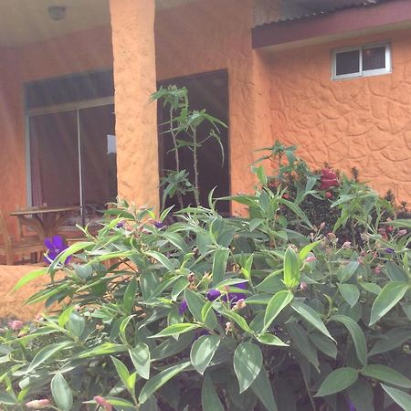 Cabinas Los Guayabos Hotel La Fortuna Exterior photo